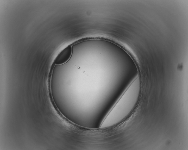 X0000091480943200708161145