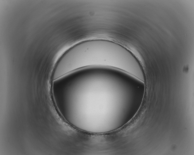 X0000091480944200708161145