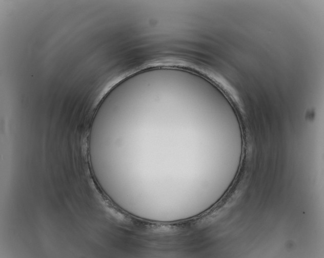 X0000091480945200708161145