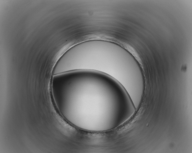 X0000091480946200708161145