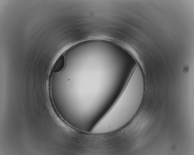 X0000091480947200708161145
