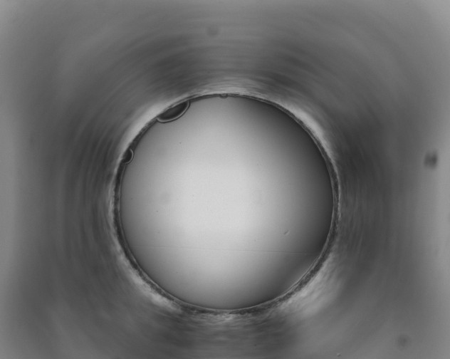 X0000091480949200708161145