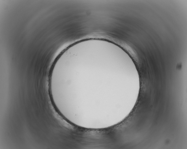 X0000091480950200708161145