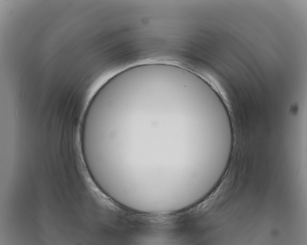 X0000091480952200708161145