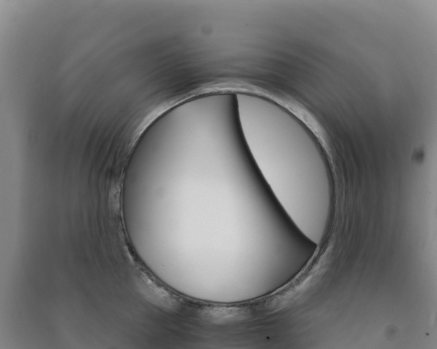 X0000091480953200708161145