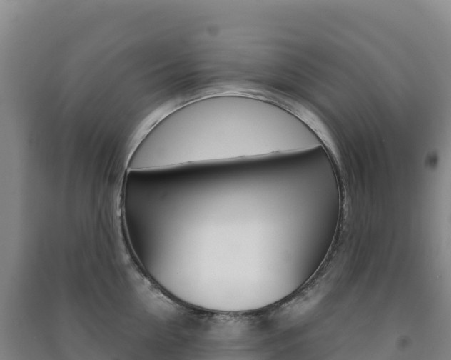 X0000091480954200708161145