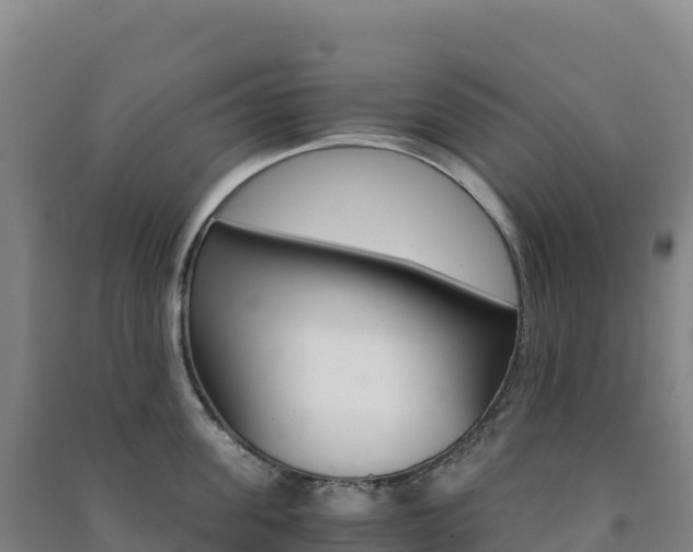 X0000091480955200708161146