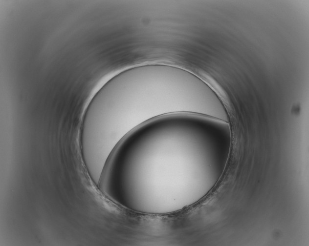 X0000091480956200708161146