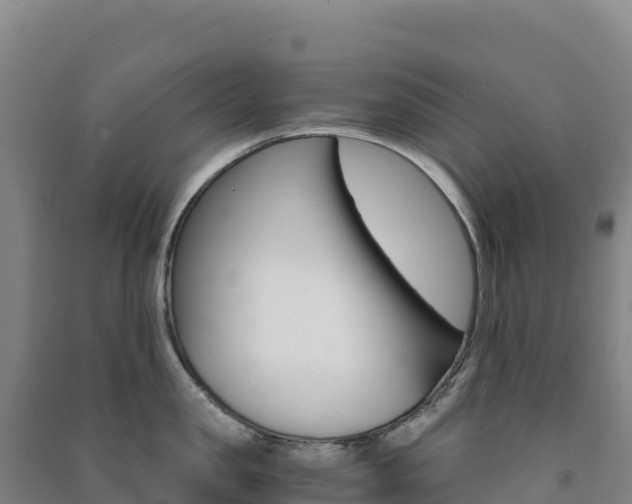 X0000091480957200708161146