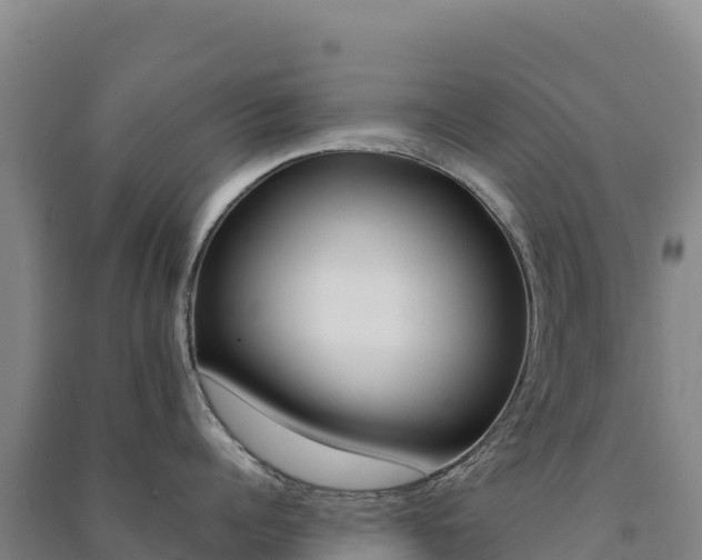 X0000091480960200708161146
