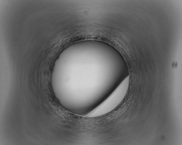 X0000091480961200708161145