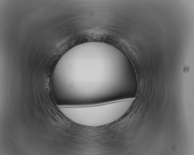 X0000091480964200708161145