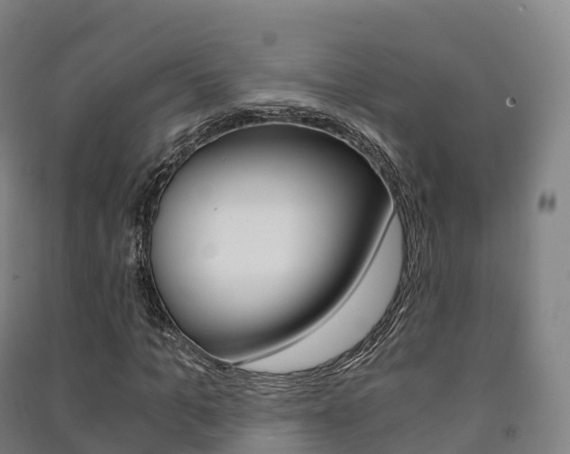 X0000091480965200708161145