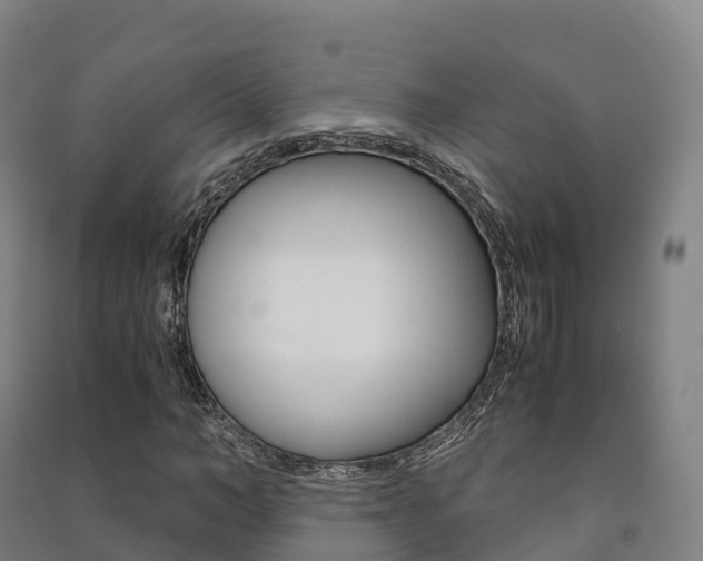 X0000091480966200708161145