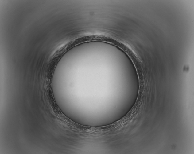 X0000091480967200708161145