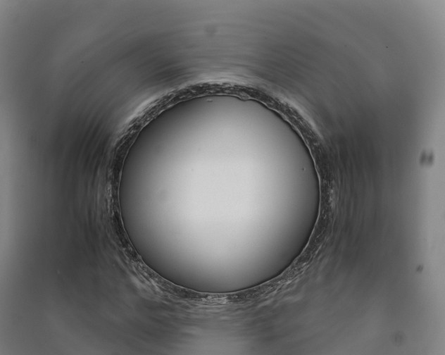 X0000091480968200708161145
