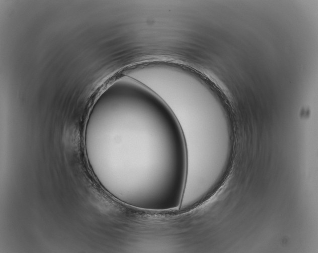 X0000091480969200708161145