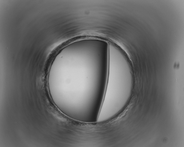 X0000091480971200708161145