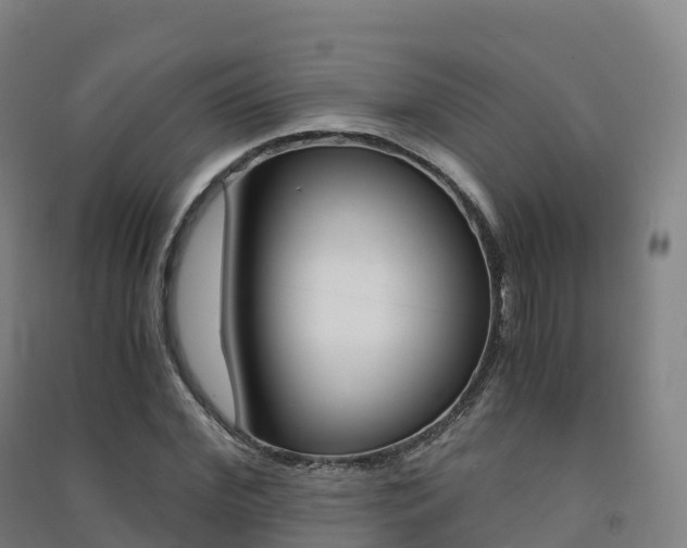 X0000091480972200708161145