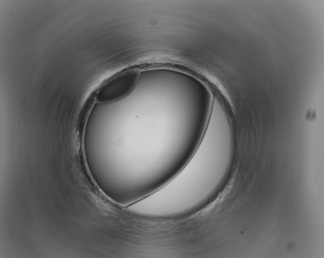 X0000091480973200708161145