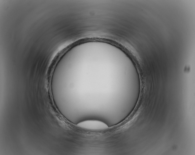 X0000091480974200708161145
