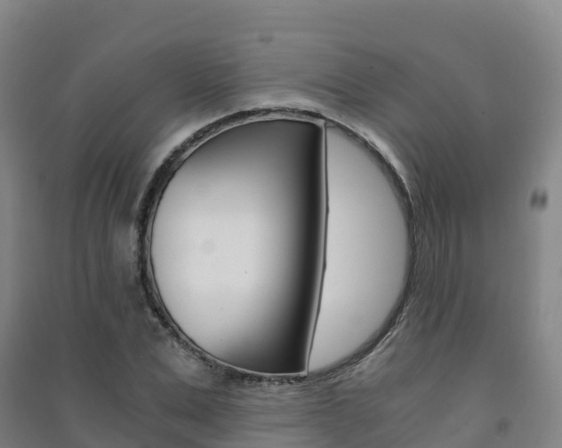 X0000091480975200708161145