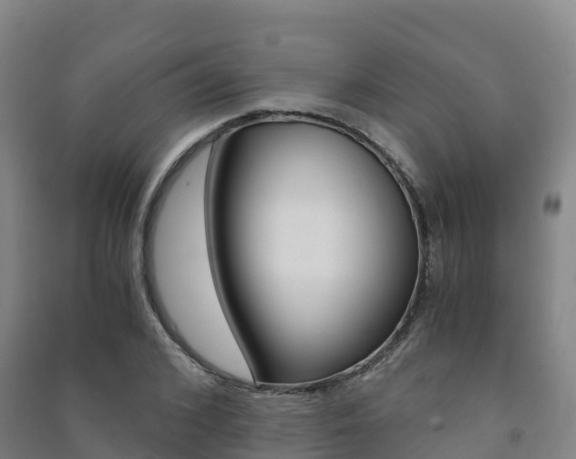 X0000091480976200708161145