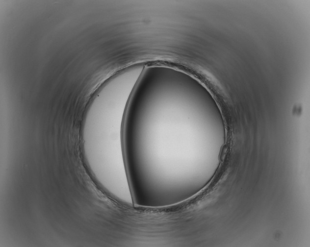 X0000091480977200708161145
