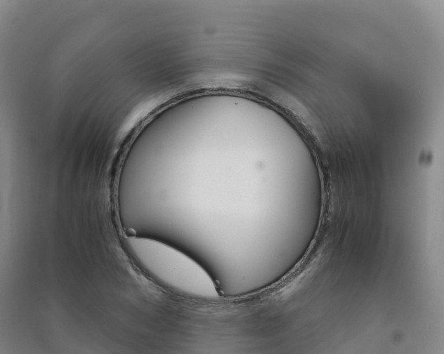 X0000091480978200708161145