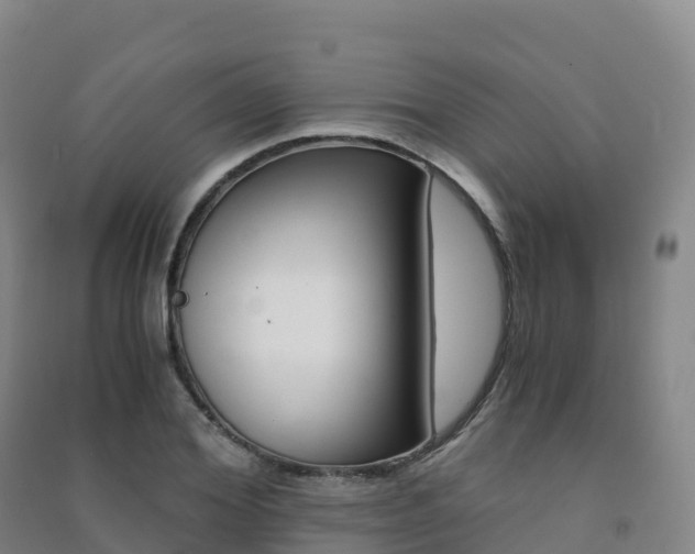 X0000091480980200708161145