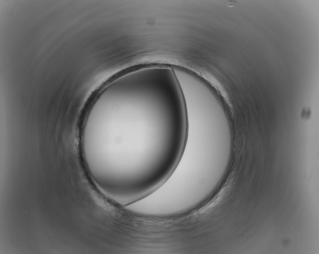 X0000091480981200708161145