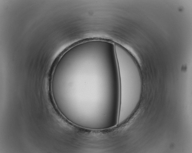 X0000091480983200708161145