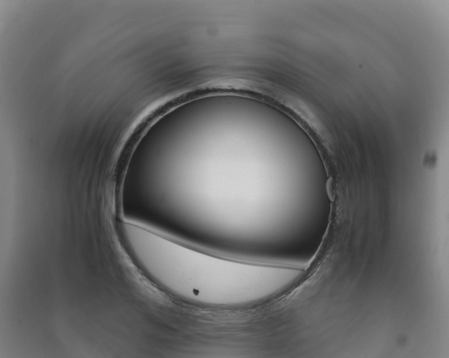 X0000091480984200708161145