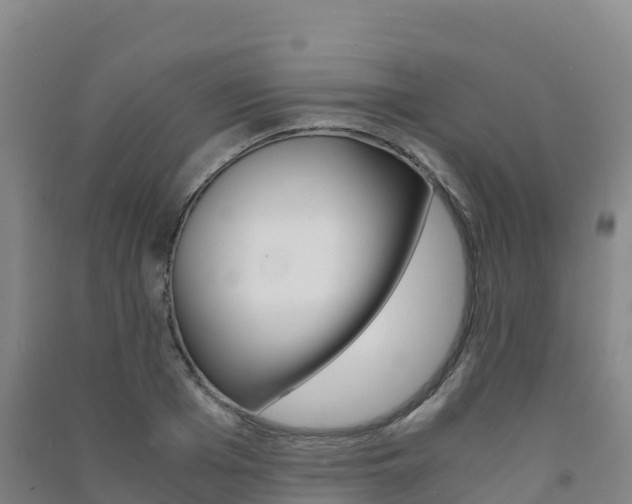 X0000091480985200708161145