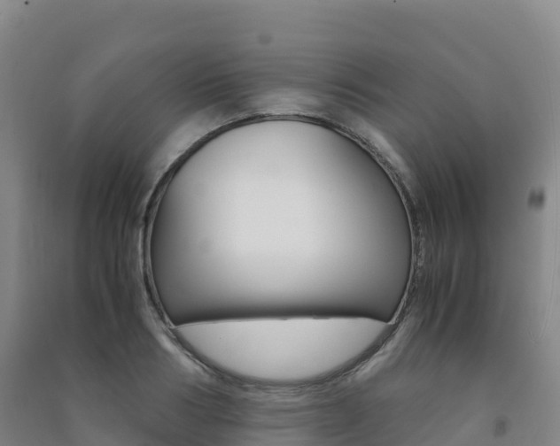 X0000091480986200708161145