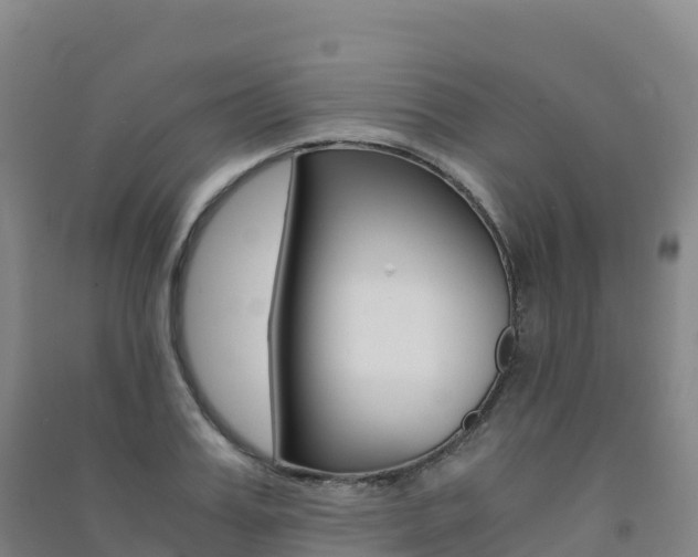 X0000091480987200708161145