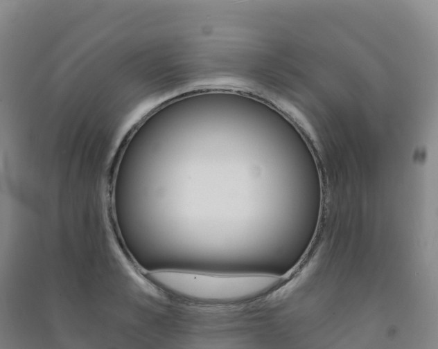 X0000091480989200708161145