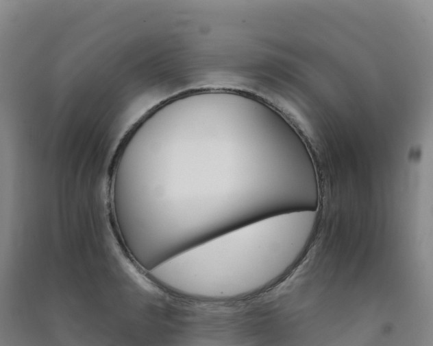X0000091480990200708161145