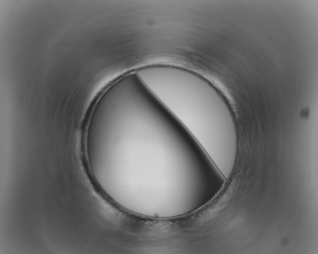 X0000091480991200708161145