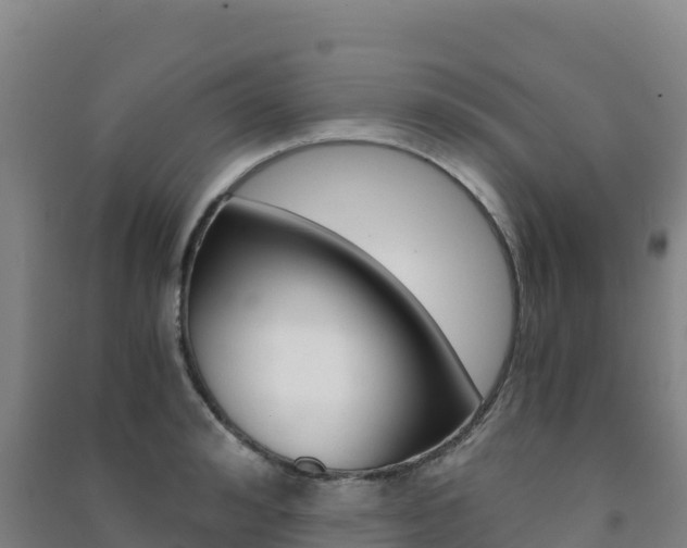 X0000091480992200708161145