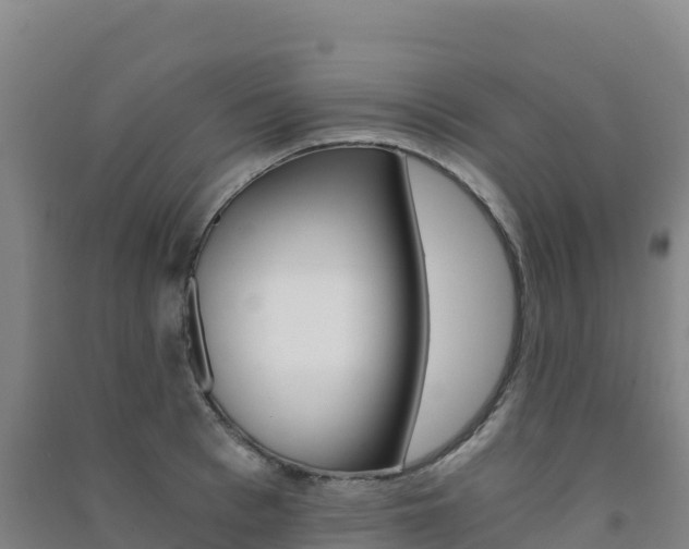 X0000091480993200708161145