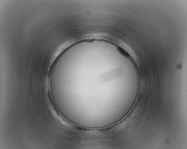 X0000091480994200708161145