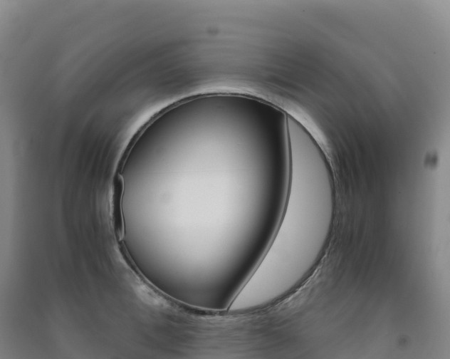 X0000091480996200708161145