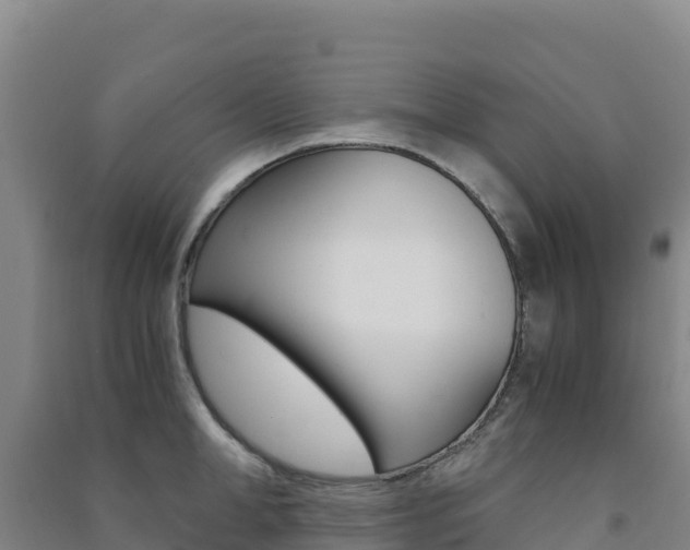X0000091480998200708161145