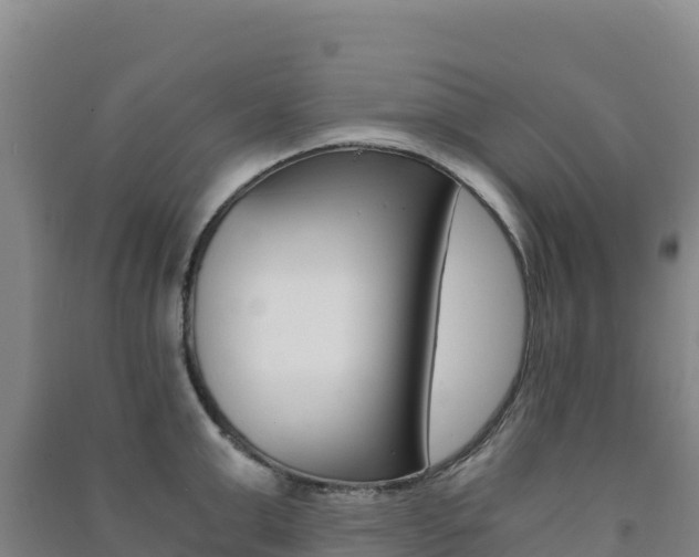 X0000091480999200708161145