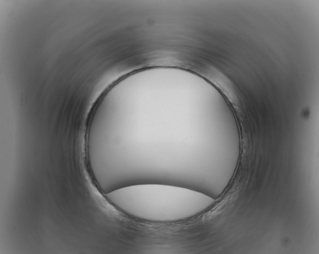 X0000091481000200708161144
