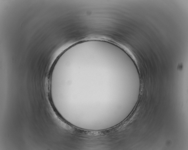 X0000091481003200708161144