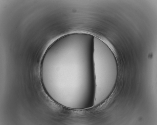 X0000091481004200708161144