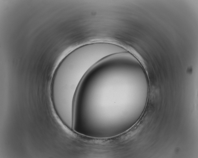 X0000091481005200708161144