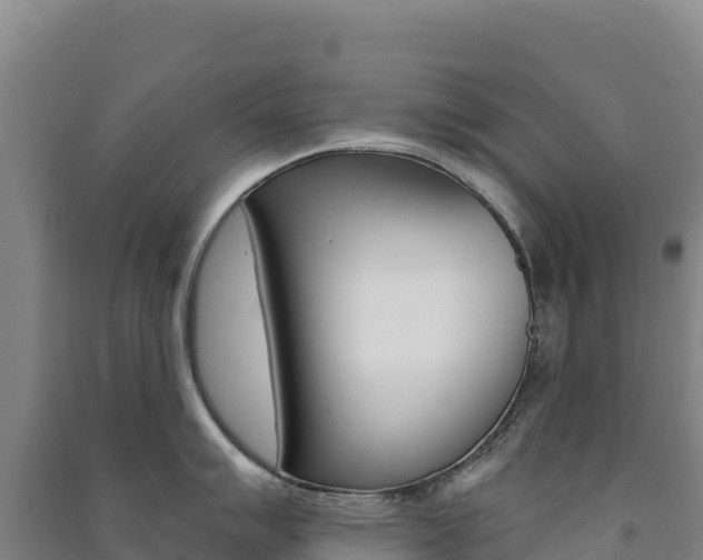 X0000091481007200708161144